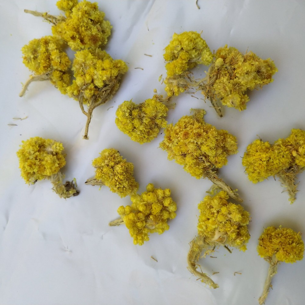 Helichrysum Immortelle Everlasting Flower Loose Herbal Tea - Helichrysum Italicum