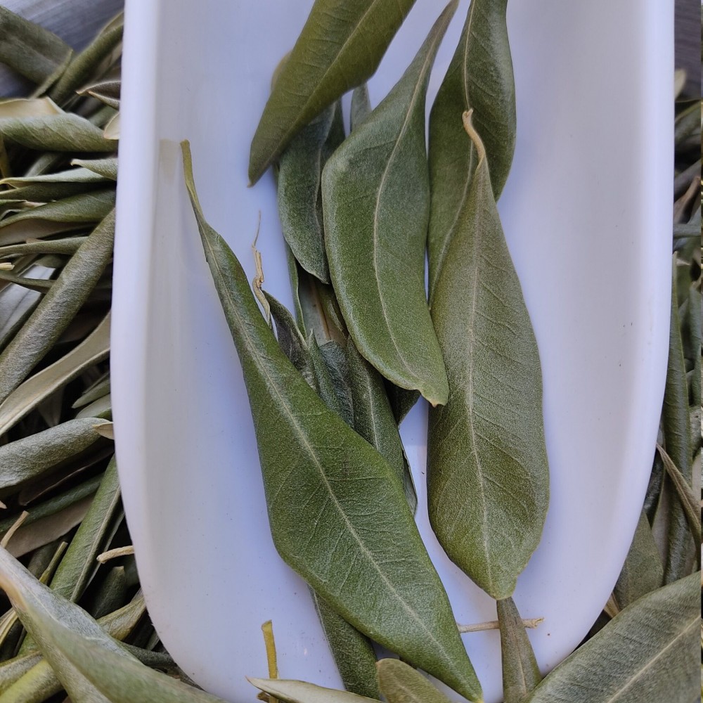 100% Dried Whole Olive Leaf Leaves - Loose Herbal Tea - Olea europaea - Superior Quality