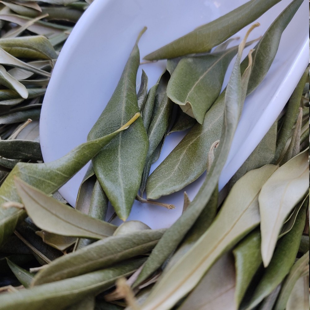 100% Dried Whole Olive Leaf Leaves - Loose Herbal Tea - Olea europaea - Superior Quality