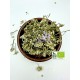 100% Organic Greek Yarrow Dried Flowers Loose Herbal Tea - Achillea Millefolium -Superior Quality Herbs&Dried Flowers{Certified Bio Product}