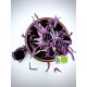 100% Organic Greek Echinacea Flowers - Dried Coneflowers Loose Herbal Tea - Echinacea Purpurea -Superior Quality Herb{Certified Bio Product}