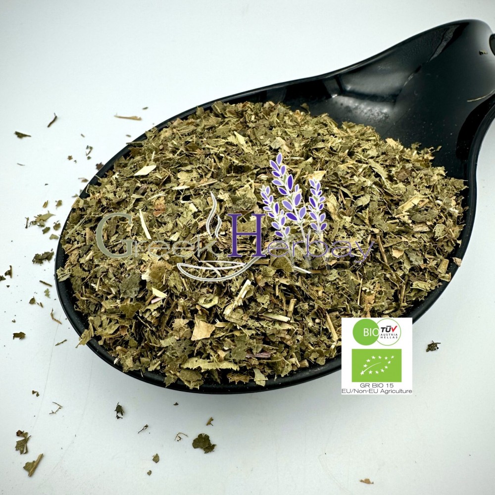 100% Organic Witch Hazel Dried Loose Leaves Herb Herbal Tea - Hamamelis Virginiana - Superior Quality Herbs{Certified Bio Product}