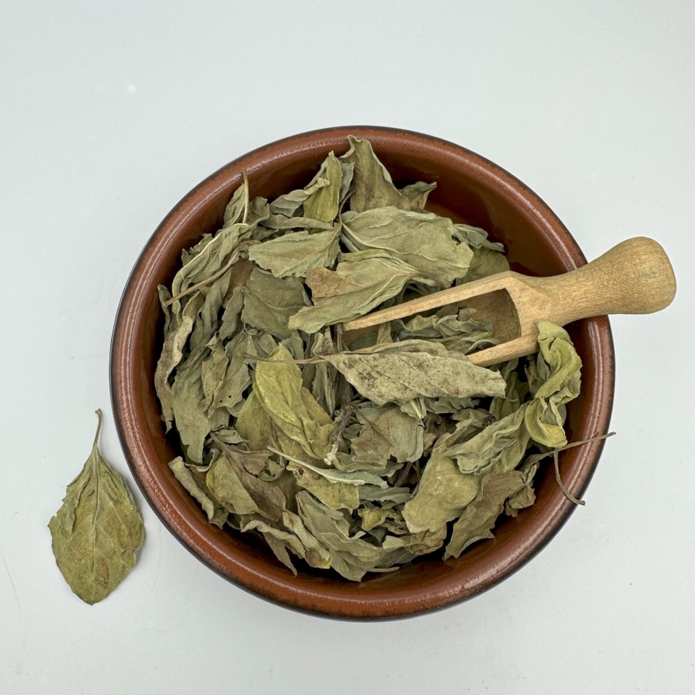 100% Organic Greek Basil Dried Leaves - Ocimum Basilicum - Superior Quality Herbs&Spice {Certified Bio Product}