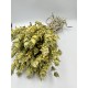 100% Organic Greek Mountain Tea - Whole Loose Herbal Tea - Sideritis Raeseri - Superior Quality Herbs&Spices {Certified Product GR-Bio}