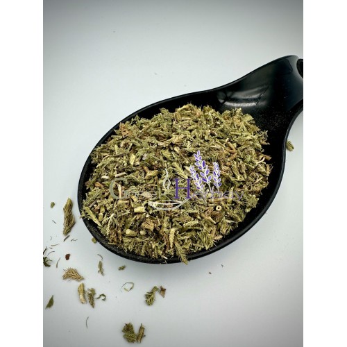 Stag's - Horn Club Moss Dried Cut Leaves - Lycopodium Clavatum - Superior Quality Herbs & Leaves