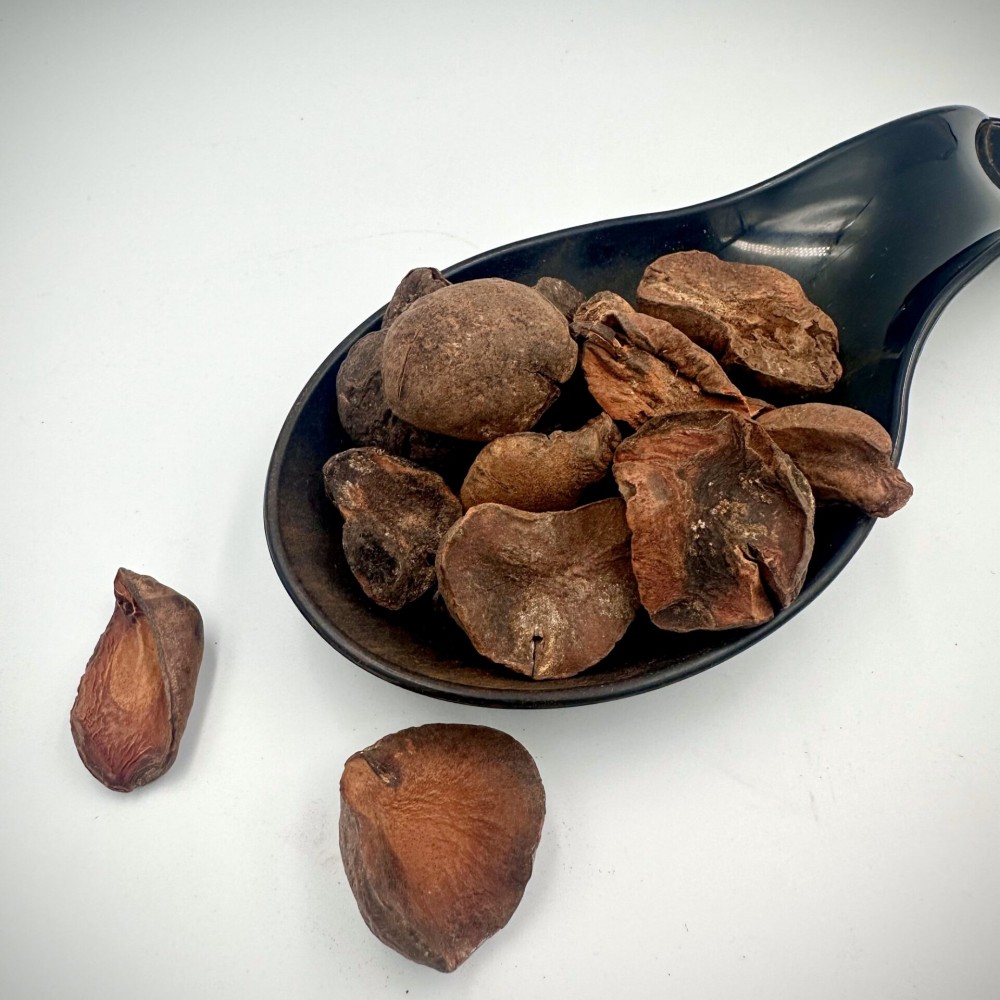 Dried Kola Nut Halves Cola Nut - Cola Nitida - Superior Quality Kola Nuts