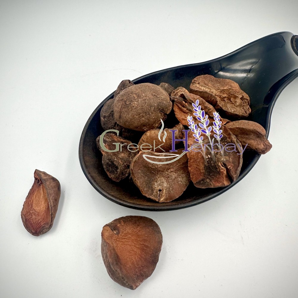 Dried Kola Nut Halves Cola Nut - Cola Nitida - Superior Quality Kola Nuts