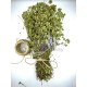 100% Organic Greek Mountain Oregano Whole Bunch - Oreganum Vulgare - Superior Quality Herbs&Spices (Certified Bio Product)