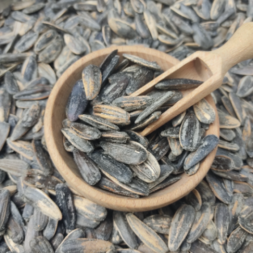 Sunflower Seeds (Baked & Salted) Superior Quality Nuts / Healthy Snacks | Helianthus |